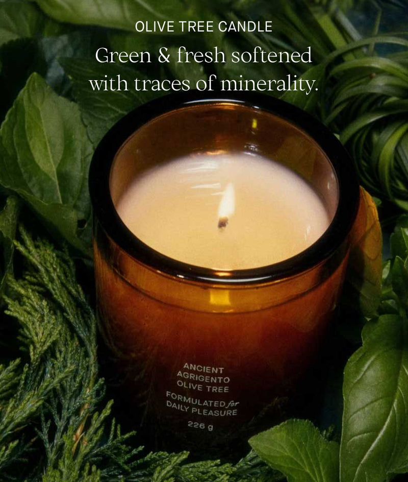 Ancient Agriegento Olive Tree Candle