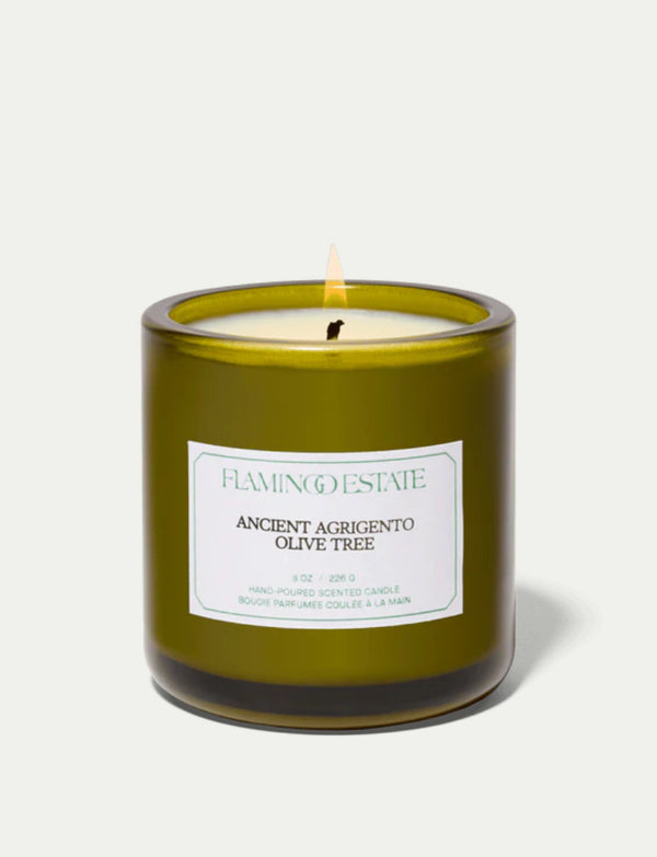 Ancient Agriegento Olive Tree Candle